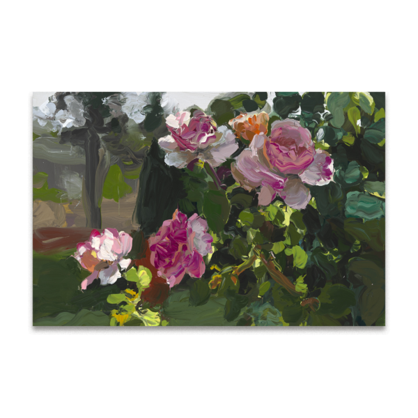 Roses