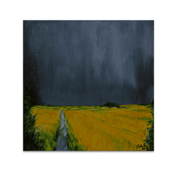 Zomers onweer